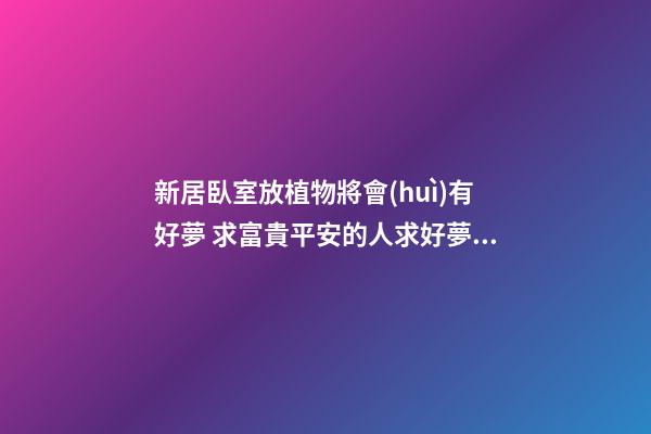 新居臥室放植物將會(huì)有好夢 求富貴平安的人求好夢首選富貴竹植物